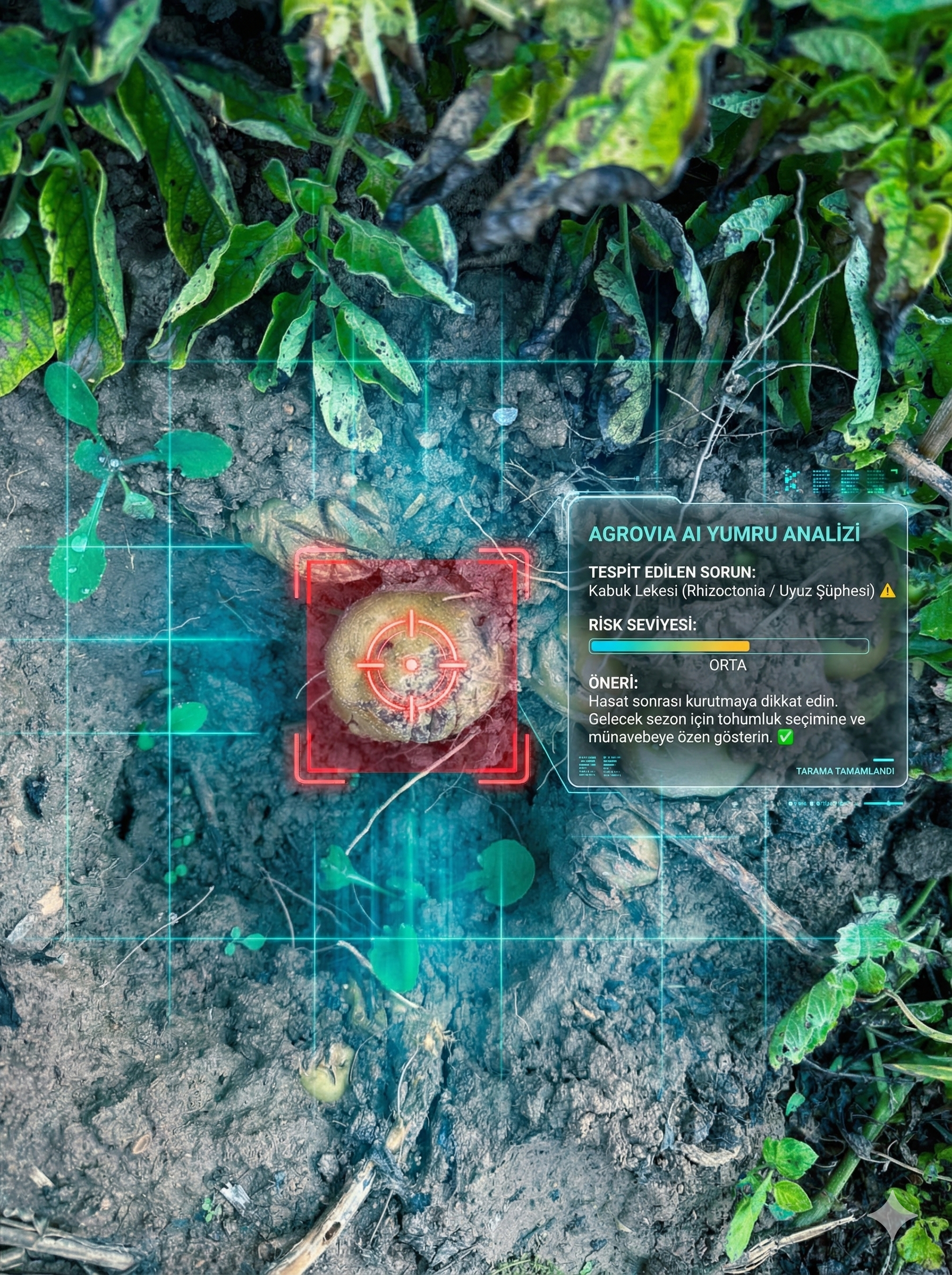 Yumru Hastalık Analizi